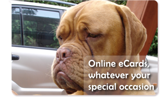 Online eCards, whatever your special occasion from Coodles.co.uk