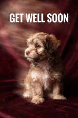 Get well soon